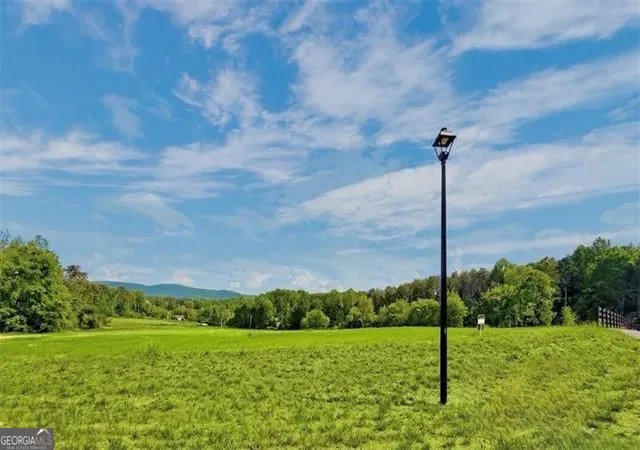 2nd image of 110 Palisade Dr, Rydal, GA 30171 | MLS# 10814882
