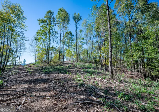 Photo 2 of Land for sale at 3887 Hwy 140 Ne, Rydal, GA 30171 | MLS# 10632137 | Listing updated on 2025-11-10