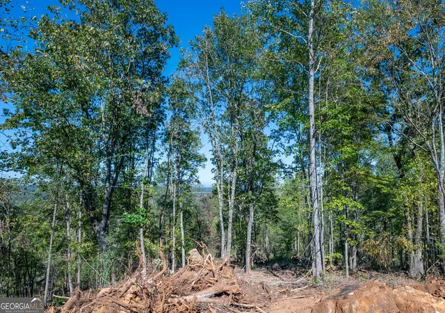 Photo 3 of Land for sale at 3887 Hwy 140 Ne, Rydal, GA 30171 | MLS# 10632137 | Listing updated on 2025-11-10