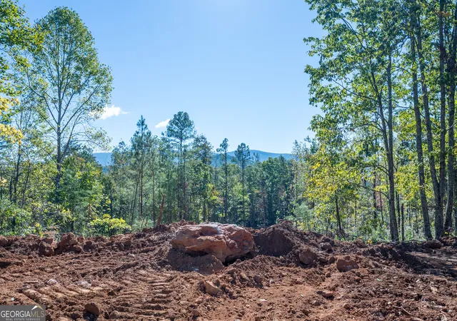 Photo 4 of Land for sale at 3887 Hwy 140 Ne, Rydal, GA 30171 | MLS# 10632137 | Listing updated on 2025-11-10
