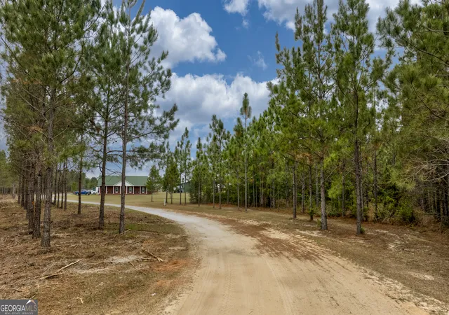 Homes for sale in Reidsville, GA | 2474 Rushing Boone Rd, Reidsville, GA 30453 | MLS# 10796160