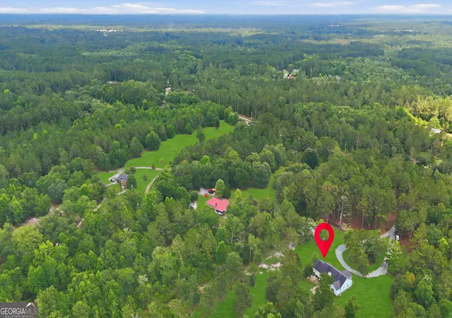 45th image of 2857 Ga Hwy 119 N, Ellabell, GA 31308 | MLS# 10785371