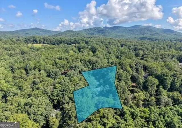 45th image of 300 Chapman Ln, Blairsville, GA 30512 | MLS# 10827755