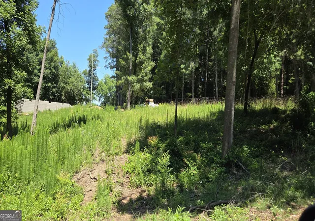 4th image of 264 Johnny St, Hartwell, GA 30643 | MLS# 10780042