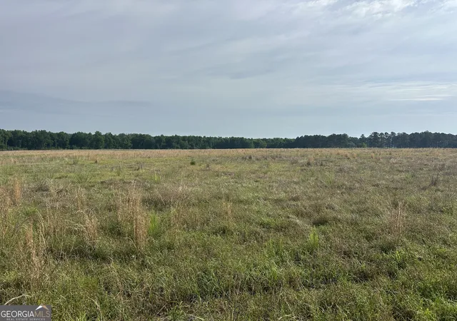 1st image of 1309 Jarrell Pond Rd, Sylvania, GA 30467 | MLS# 10762476