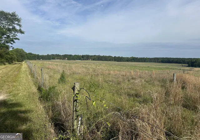 2nd image of 1309 Jarrell Pond Rd, Sylvania, GA 30467 | MLS# 10762476