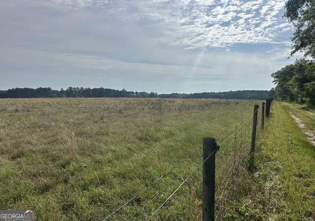 Photo 3 of Land for sale at 1309 Jarrell Pond Rd, Sylvania, GA 30467 | MLS# 10762476 | Listing updated on 2026-05-29