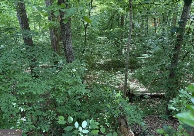 Photo 2 of Land for sale at Lot 10 Brookhollow Dr, Canton, GA 30114 | MLS# 10802336 | Listing updated on 2026-07-23
