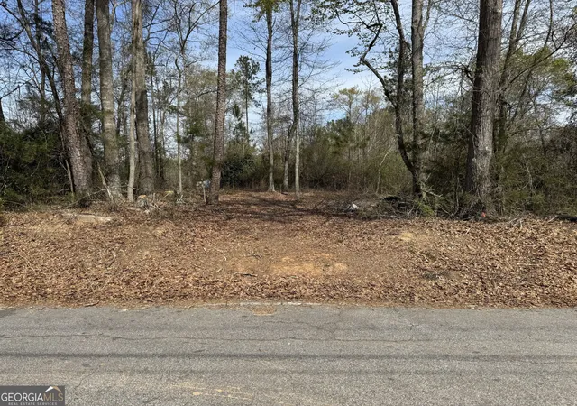 3rd image of 738 Old Mineral Springs Rd, Elberton, GA 30635 | MLS# 10730215