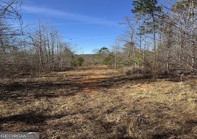 5th image of 738 Old Mineral Springs Rd, Elberton, GA 30635 | MLS# 10730215