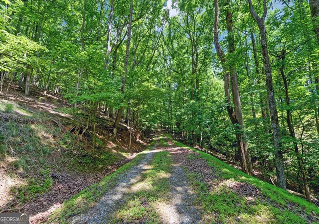 5th image of 4273 Cherokee Trl, Gainesville, GA 30504 | MLS# 10784300
