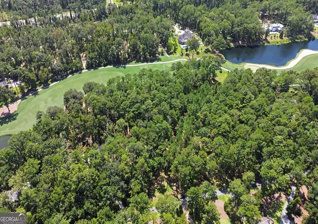 2nd image of 388 Belted Kingfisher Ln, Richmond Hill, GA 31324 | MLS# 10823093
