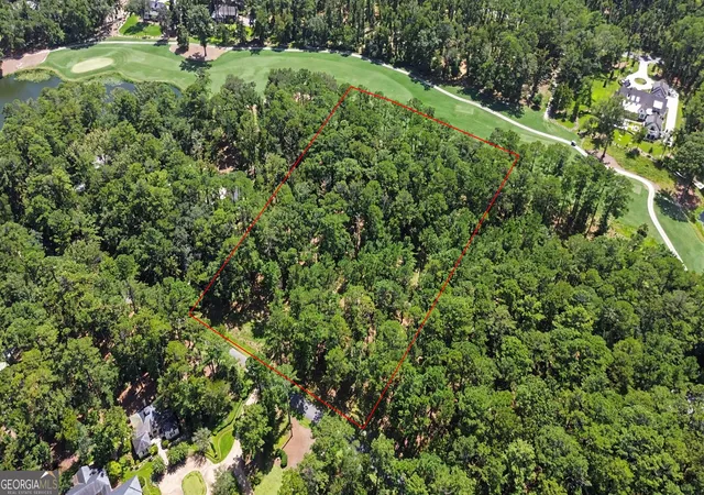 Photo 3 of Land for sale at 388 Belted Kingfisher Ln, Richmond Hill, GA 31324 | MLS# 10823093 | Listing updated on 2026-08-24
