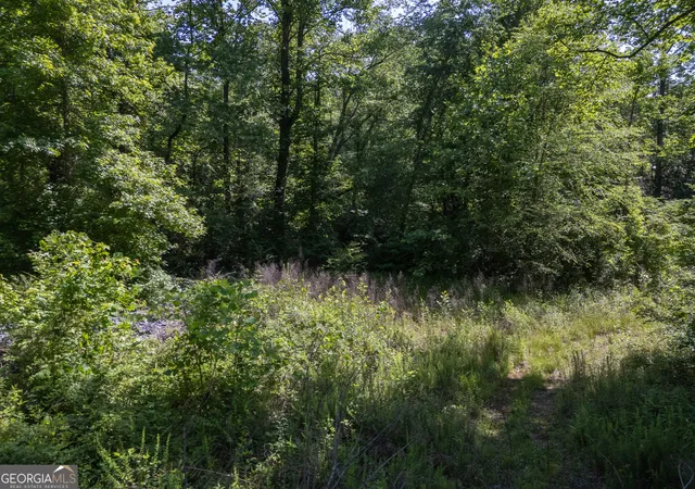 2nd image of 440 Joe Franklin Rd, Sautee Nacoochee, GA 30571 | MLS# 10812212