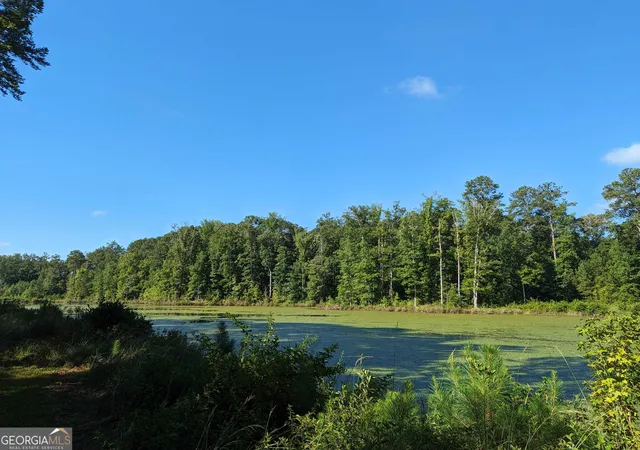 14th image of Lot 1 Joe Roberts Rd, Newnan, GA 30263 | MLS# 10714802