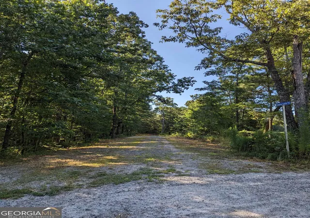 3rd image of Lot 1 Joe Roberts Rd, Newnan, GA 30263 | MLS# 10714802