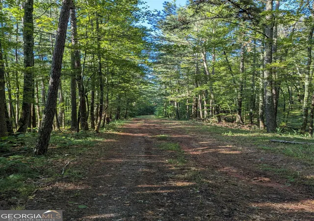 5th image of Lot 1 Joe Roberts Rd, Newnan, GA 30263 | MLS# 10714802