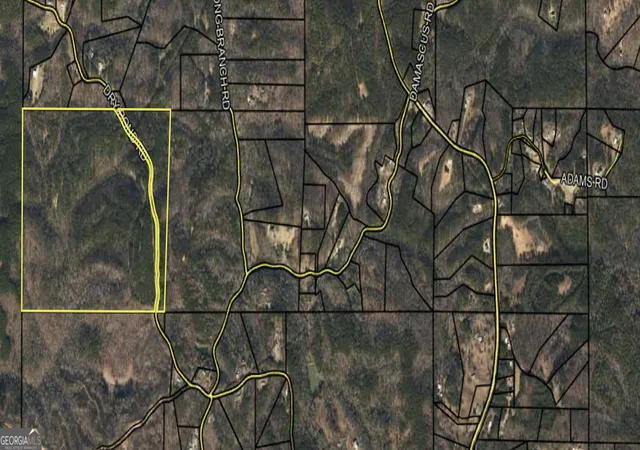 23rd image of 4 W Dry Pond Rd #LOT 4 WEST, Ranger, GA 30734 | MLS# 10707625