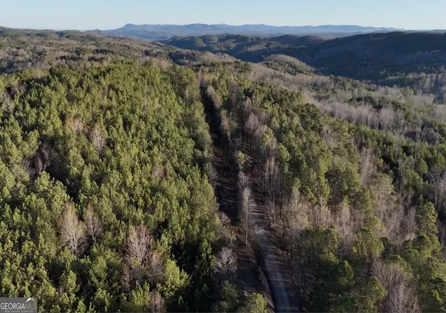 2nd image of 4 W Dry Pond Rd #LOT 4 WEST, Ranger, GA 30734 | MLS# 10707625