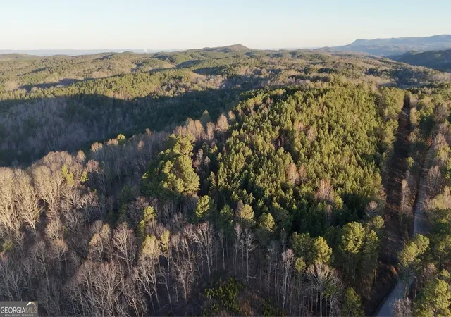 Photo 4 of Land for sale at 4 W Dry Pond Rd #4, Ranger, GA 30734 | MLS# 10707625 | Listing updated on 2026-07-29