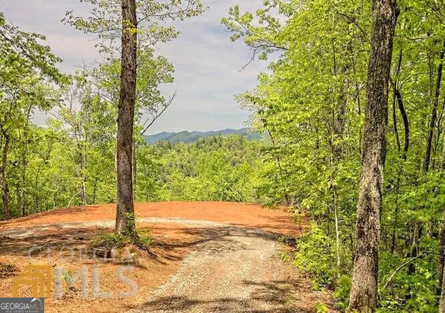 2nd image of 0 Wynngate Dr #21, Dillard, GA 30537 | MLS# 10795597