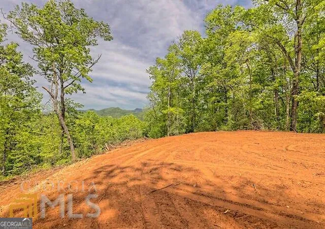 3rd image of 0 Wynngate Dr #21, Dillard, GA 30537 | MLS# 10795597