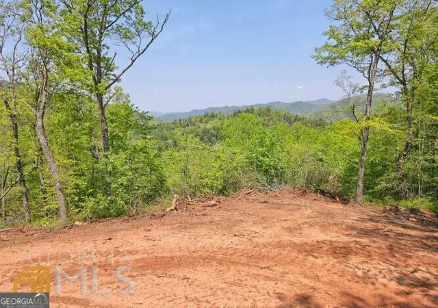 4th image of 0 Wynngate Dr #21, Dillard, GA 30537 | MLS# 10795597