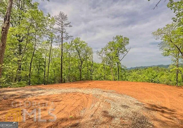 5th image of 0 Wynngate Dr #21, Dillard, GA 30537 | MLS# 10795597