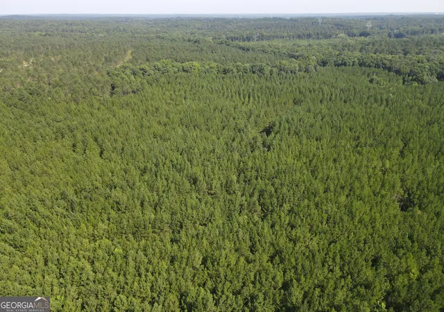 Photo 3 of Land for sale at 0 Lower Harmony Rd Lot 2 #LOT 2, Eatonton, GA 31024 | MLS# 10803264 | Listing updated on 2026-09-08