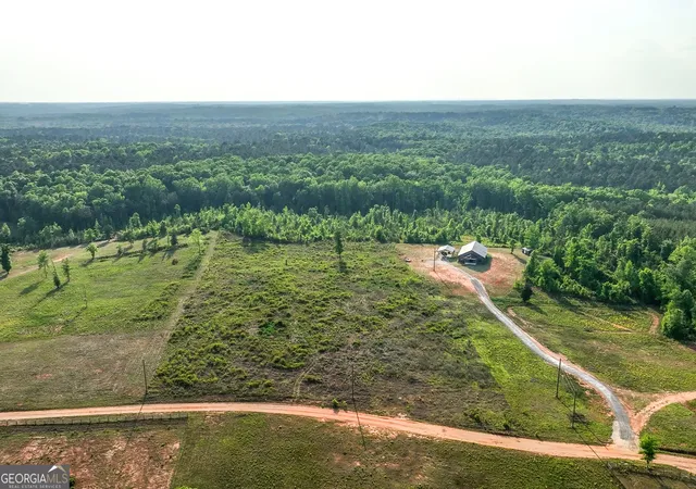 Homes for sale in Culloden, GA | 156 Jordan Bottoms Rd, Culloden, GA 31016 | MLS# 10740325