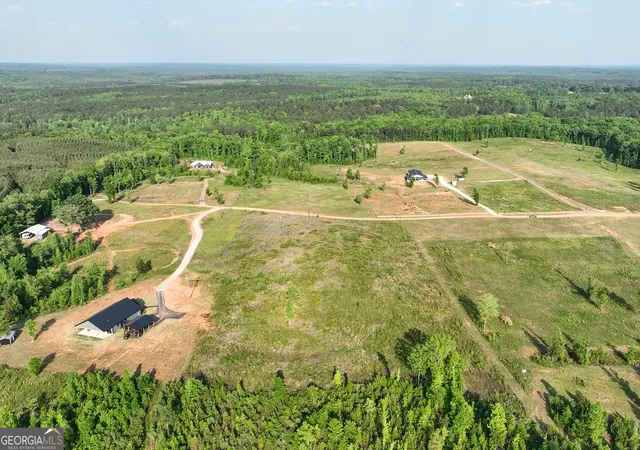 Homes for sale in Culloden, GA | 156 Jordan Bottoms Rd, Culloden, GA 31016 | MLS# 10740325