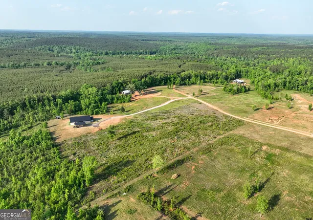 Homes for sale in Culloden, GA | 156 Jordan Bottoms Rd, Culloden, GA 31016 | MLS# 10740325