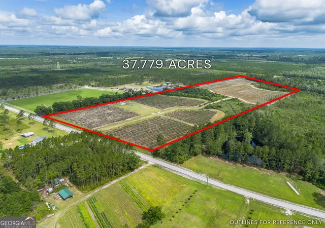 Photo 1 of Land for sale at 7848 Trudie Rd, Patterson, GA 31557 | MLS# 10810334 | Listing updated on 2026-08-19