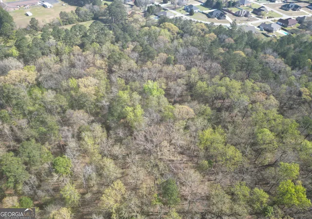 8th image of 0 Hwy 247 Connector, Byron, GA 31008 | MLS# 10716329