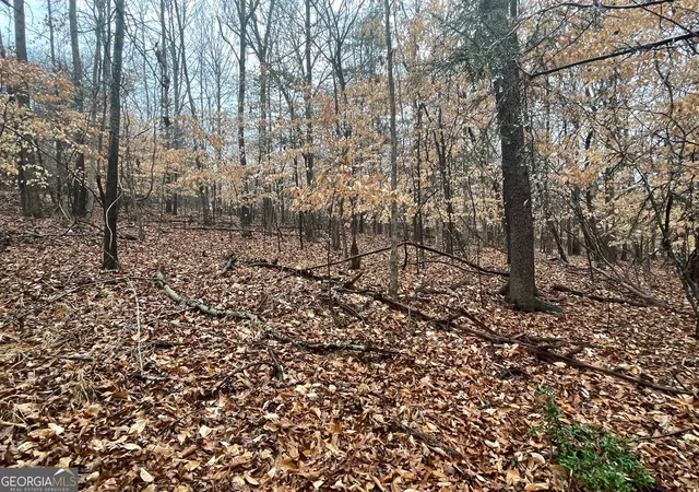 Photo 2 of Land for sale at Lot 942 Birdie Ct, Westminster, SC 29693 | MLS# 10710635 | Listing updated on 2026-03-28