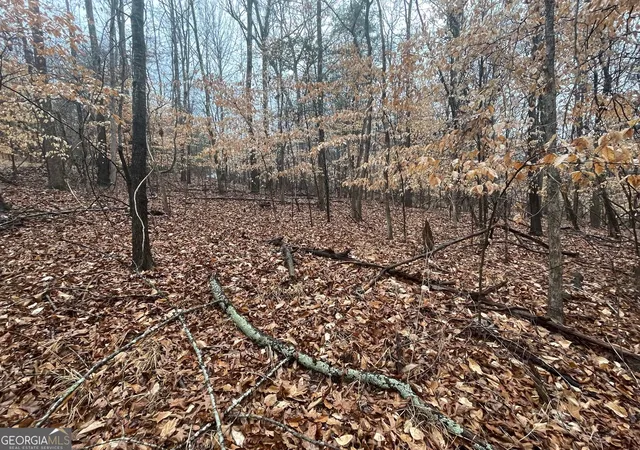 Photo 3 of Land for sale at Lot 942 Birdie Ct, Westminster, SC 29693 | MLS# 10710635 | Listing updated on 2026-03-28