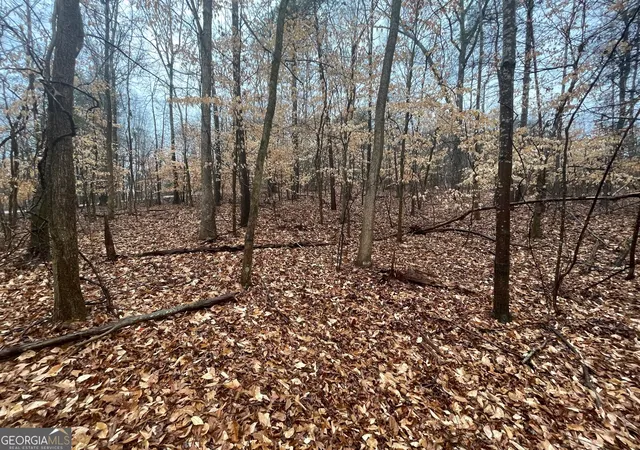 Photo 4 of Land for sale at Lot 942 Birdie Ct, Westminster, SC 29693 | MLS# 10710635 | Listing updated on 2026-03-28