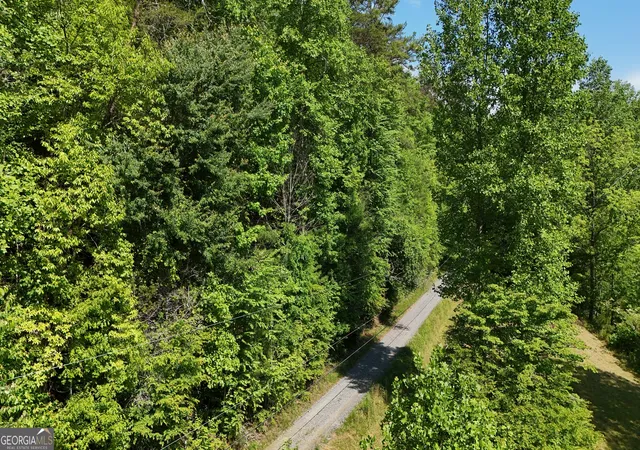 13th image of 0 Gold Springs Rd, Cherry Log, GA 30522 | MLS# 10830184