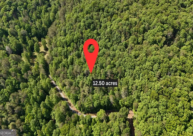 1st image of 0 Gold Springs Rd, Cherry Log, GA 30522 | MLS# 10830184