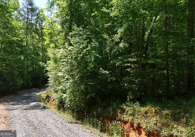 3rd image of 0 Gold Springs Rd, Cherry Log, GA 30522 | MLS# 10830184