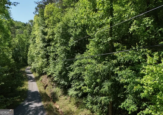 4th image of 0 Gold Springs Rd, Cherry Log, GA 30522 | MLS# 10830184