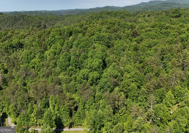 5th image of 0 Gold Springs Rd, Cherry Log, GA 30522 | MLS# 10830184