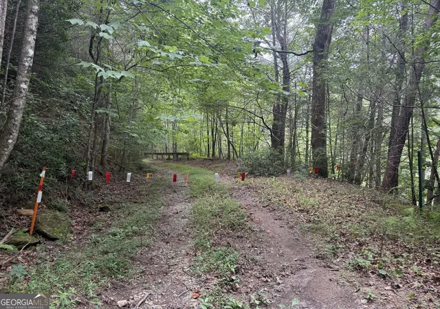 2nd image of 0 Yahoola Indian Trail, Dahlonega, GA 30533 | MLS# 10828612