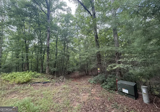 3rd image of 0 Yahoola Indian Trail, Dahlonega, GA 30533 | MLS# 10828612