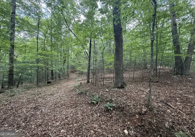 4th image of 0 Yahoola Indian Trail, Dahlonega, GA 30533 | MLS# 10828612