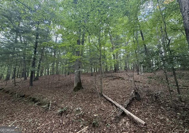 5th image of 0 Yahoola Indian Trail, Dahlonega, GA 30533 | MLS# 10828612