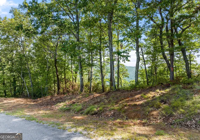 Photo 2 of Land for sale at 347 Highlands Dr, Clarkesville, GA 30523 | MLS# 10688135 | Listing updated on 2026-02-23