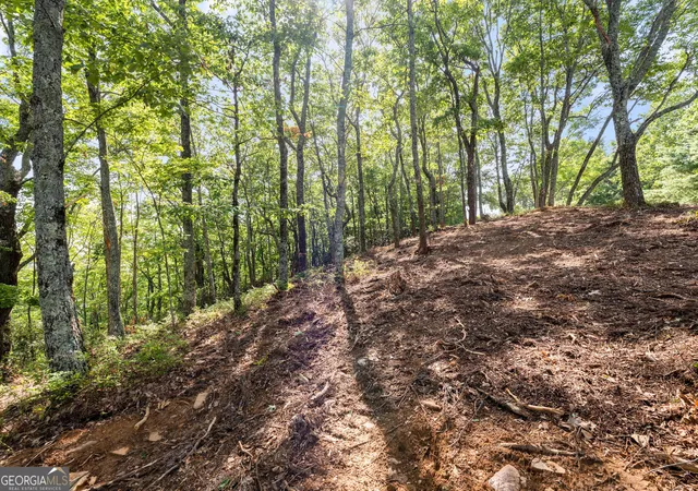 Photo 3 of Land for sale at 347 Highlands Dr, Clarkesville, GA 30523 | MLS# 10688135 | Listing updated on 2026-02-23