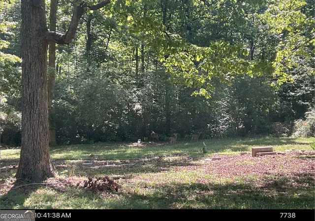 Photo 3 of Land for sale at 106 Melba Dr, Trion, GA 30753 | MLS# 10818739 | Listing updated on 2026-09-16