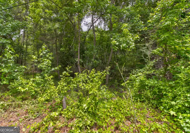 Photo 24 of Land for sale at 247 Cedar Ln, Guyton, GA 31312 | MLS# 10783277 | Listing updated on 2026-09-12